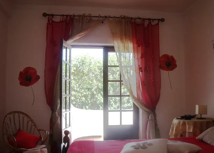 Alves 카르보에이루